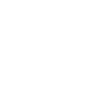 Expert Staff